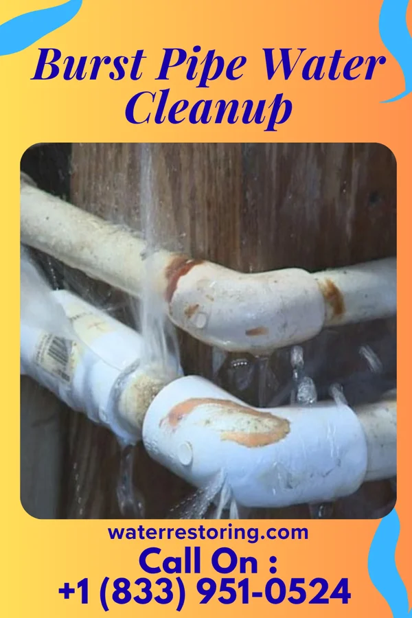 Burst Pipe Water Cleanup in Randolph, MO
