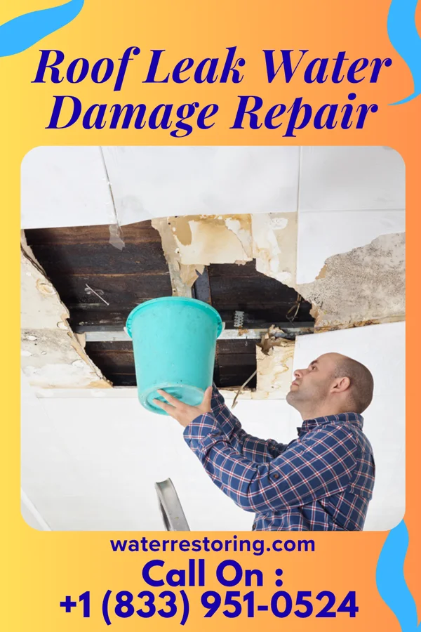 Roof Leak Water Damage Repair in Randolph, MO