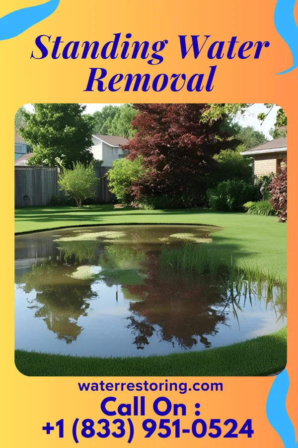 Standing Water Removal in Randolph, MO